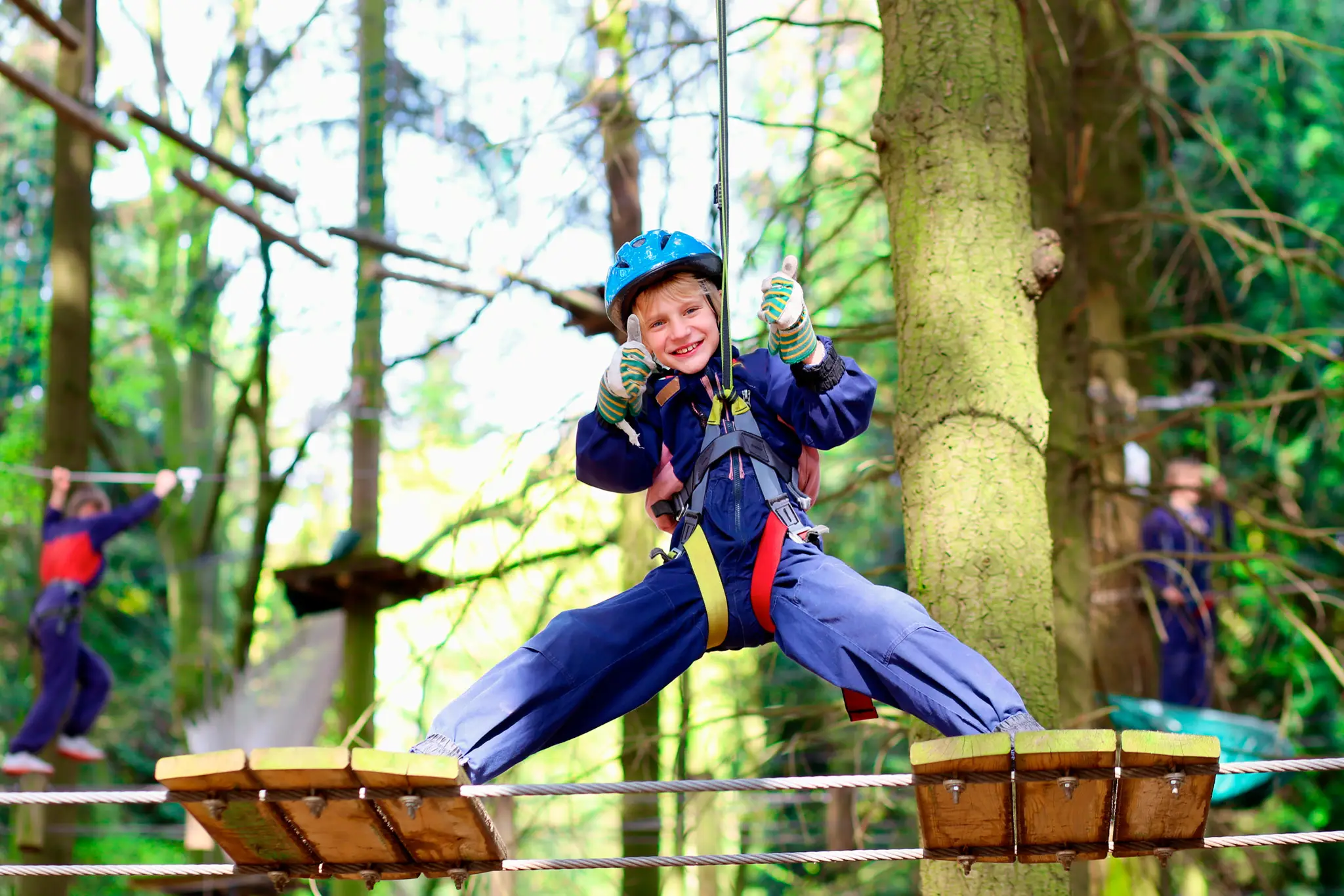 Zip-line forest adventure in the trees at Lough Key Forest Park