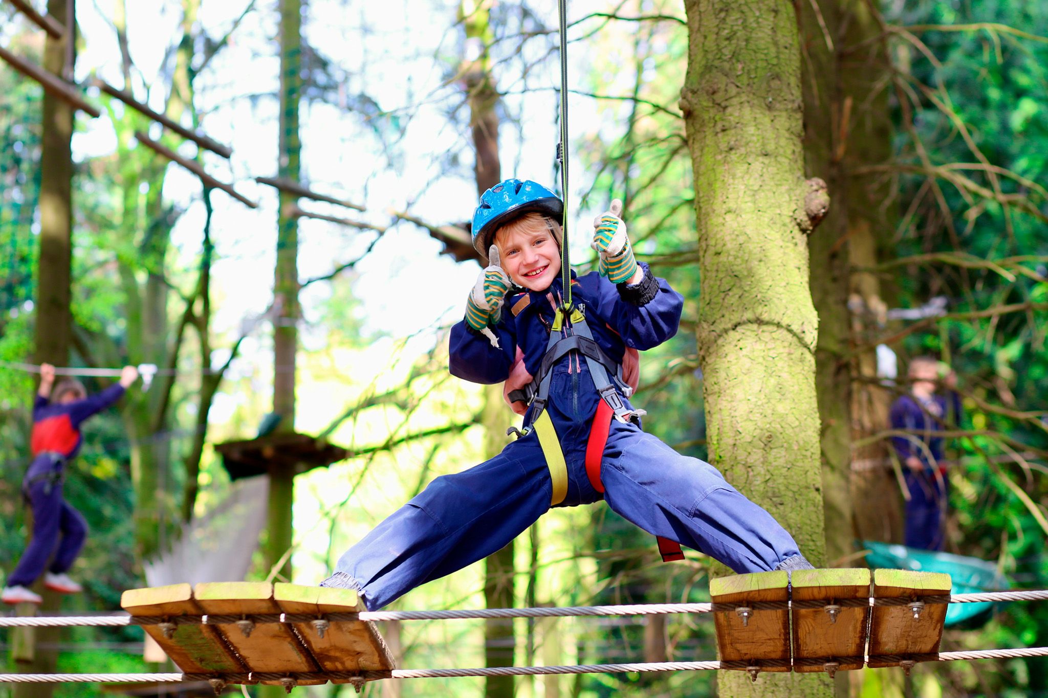 Zip-line forest adventure in the trees at Lough Key Forest Park