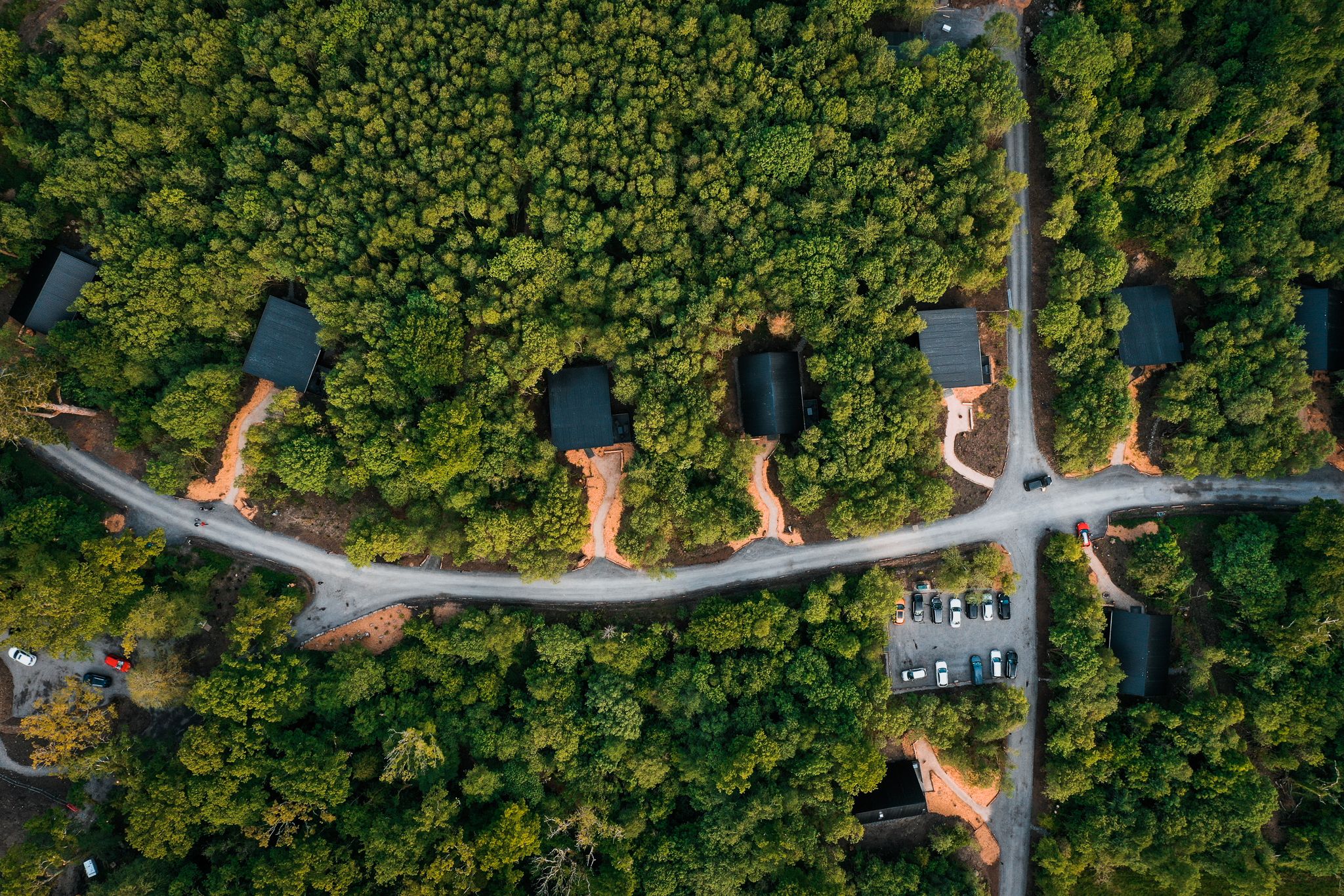 The lodges scattered through the woodland, seen from above at golden hour