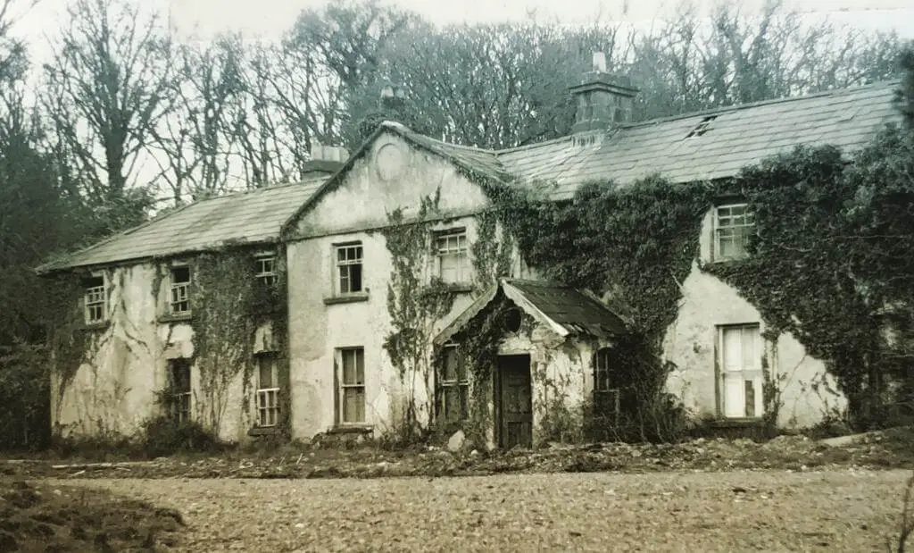 An old ivy-clad farmhouse weathering quietly in the Leitrim mist