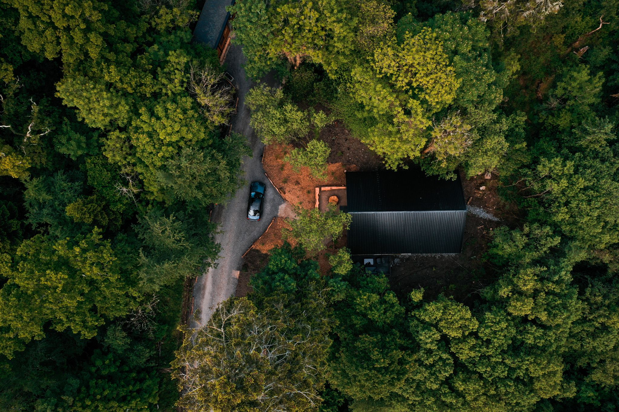 Lodges glimpsed through the trees across the estate
