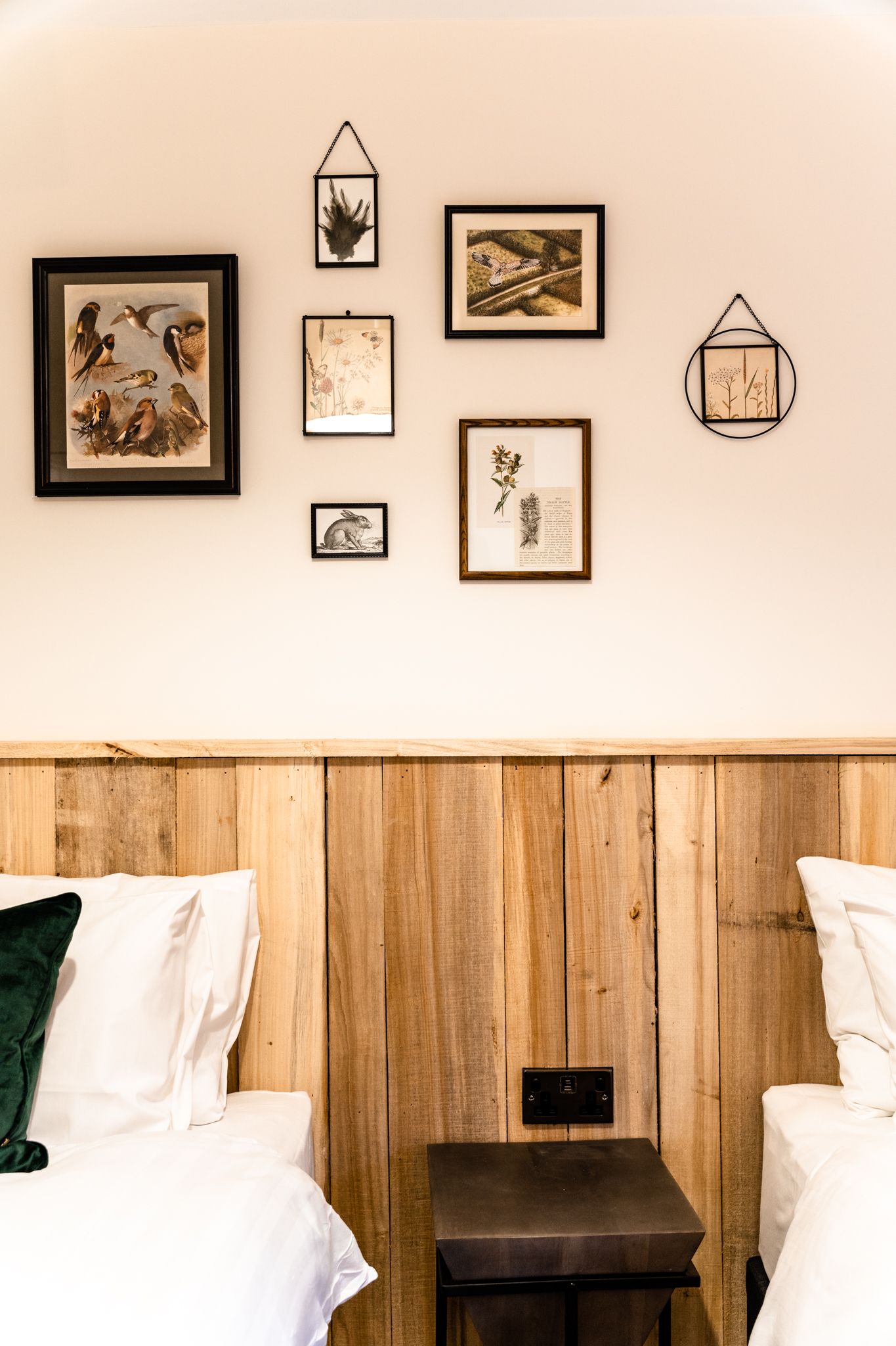 Framed botanical prints by Leitrim makers on a timber wall