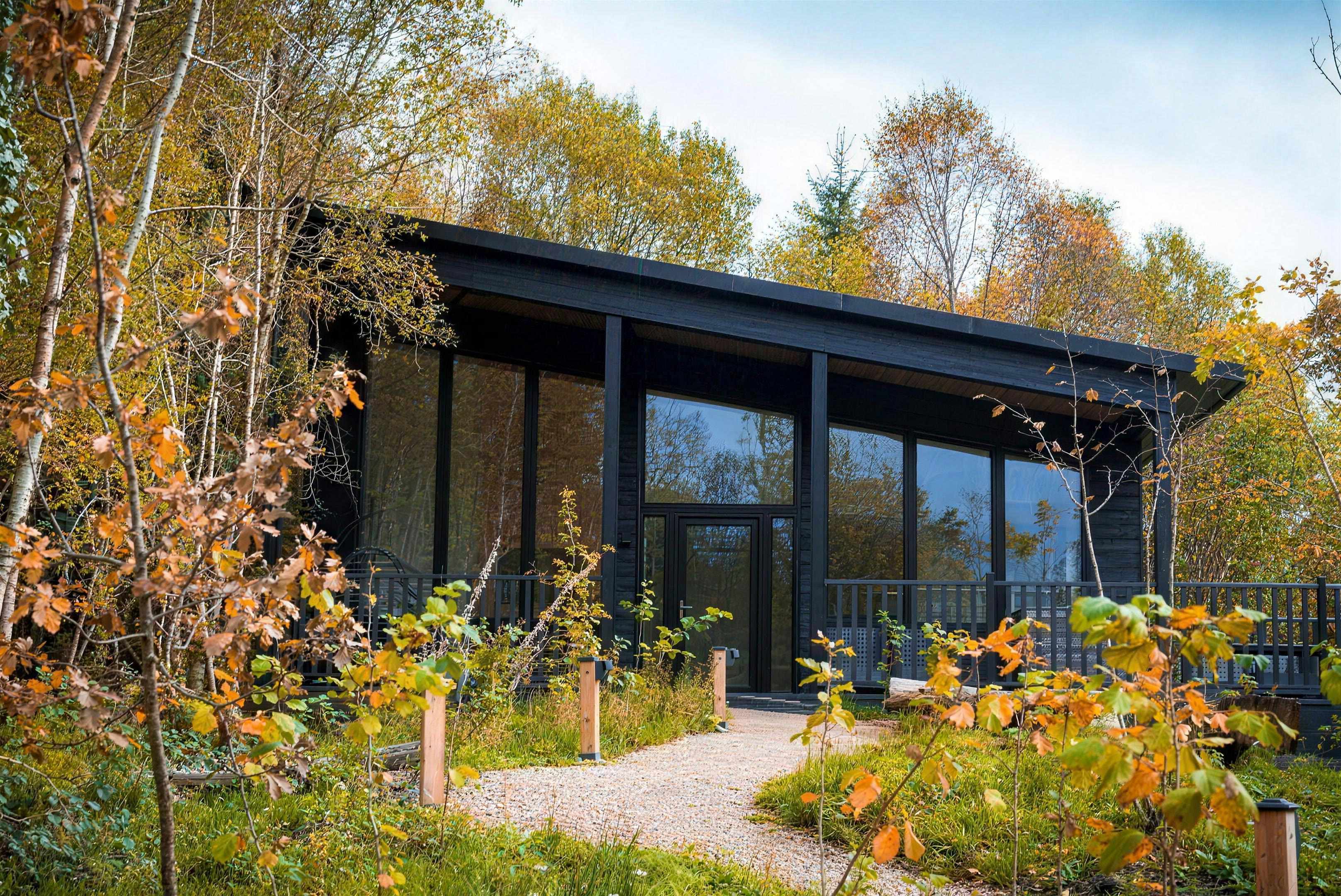 A ReTREEt lodge — contemporary dark-timber lodge with a low flat roof and full-height glazing, among autumn woodland