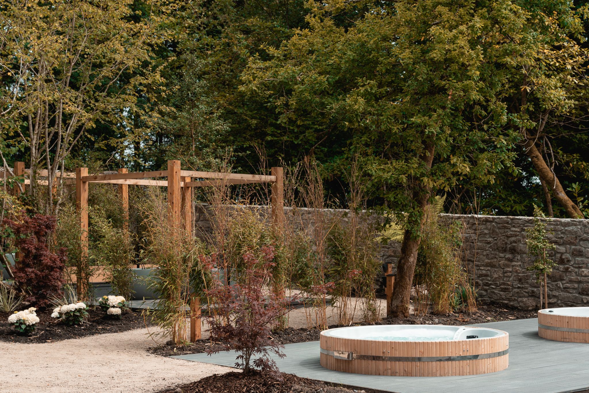 The cold-plunge barrel on the deck among the planting