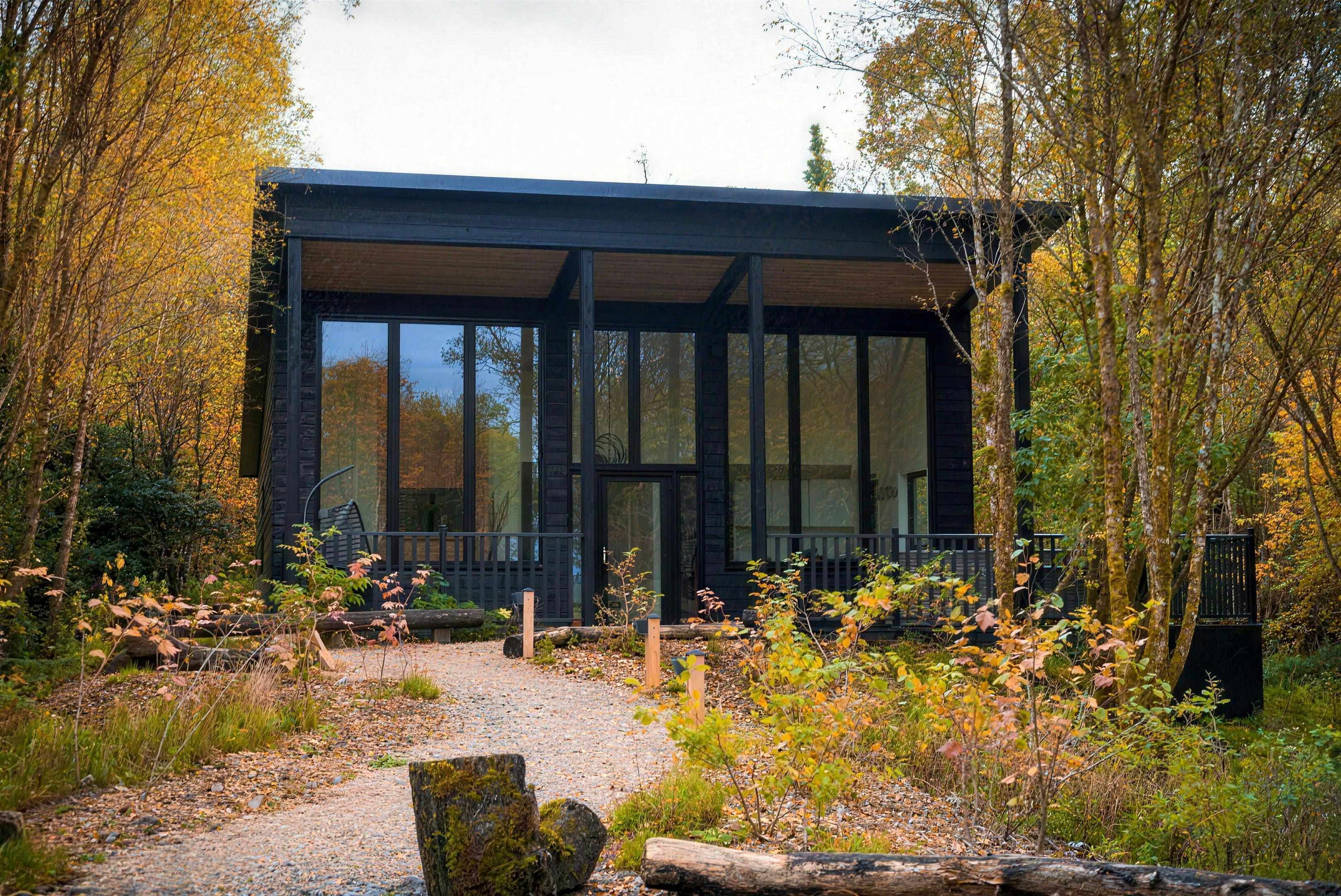 A Wildflower lodge — contemporary side-sloping roofline with full-height glazing among autumn woodland